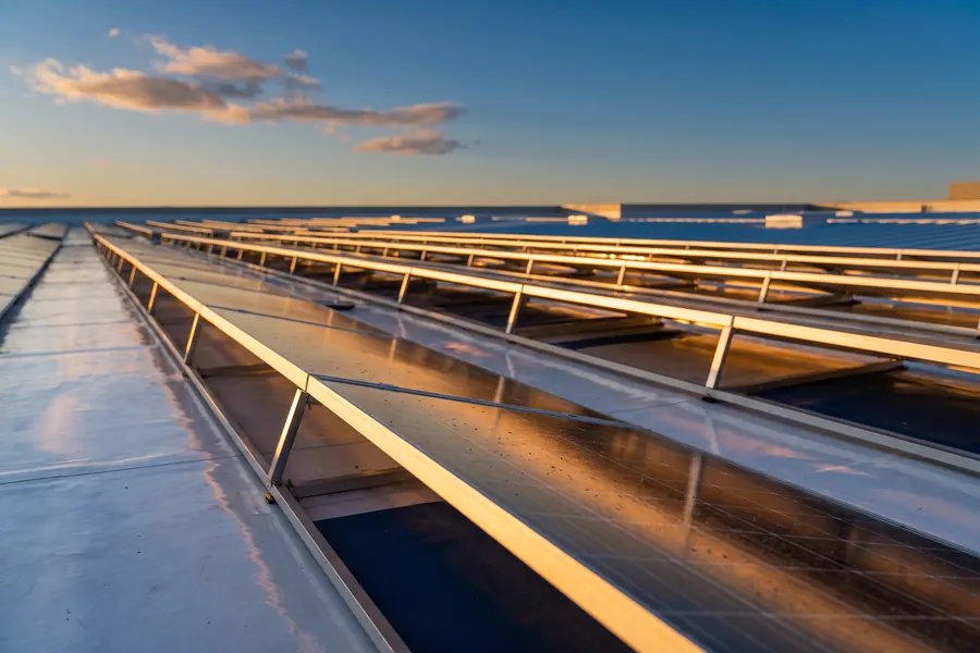 Commercial rooftop solar panels in golden afternoon light